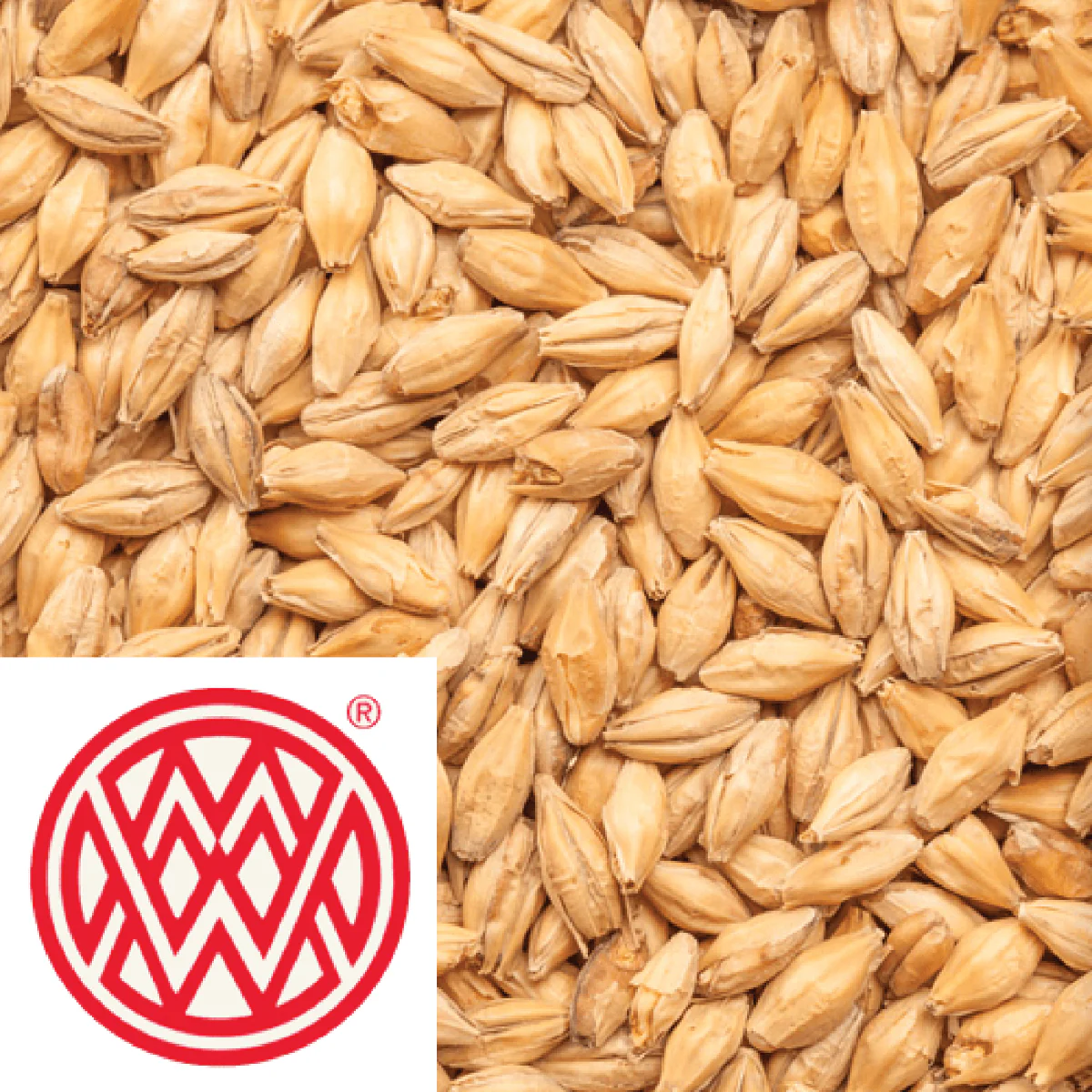 Abbey Malt - Weyermann (GER) - per kg