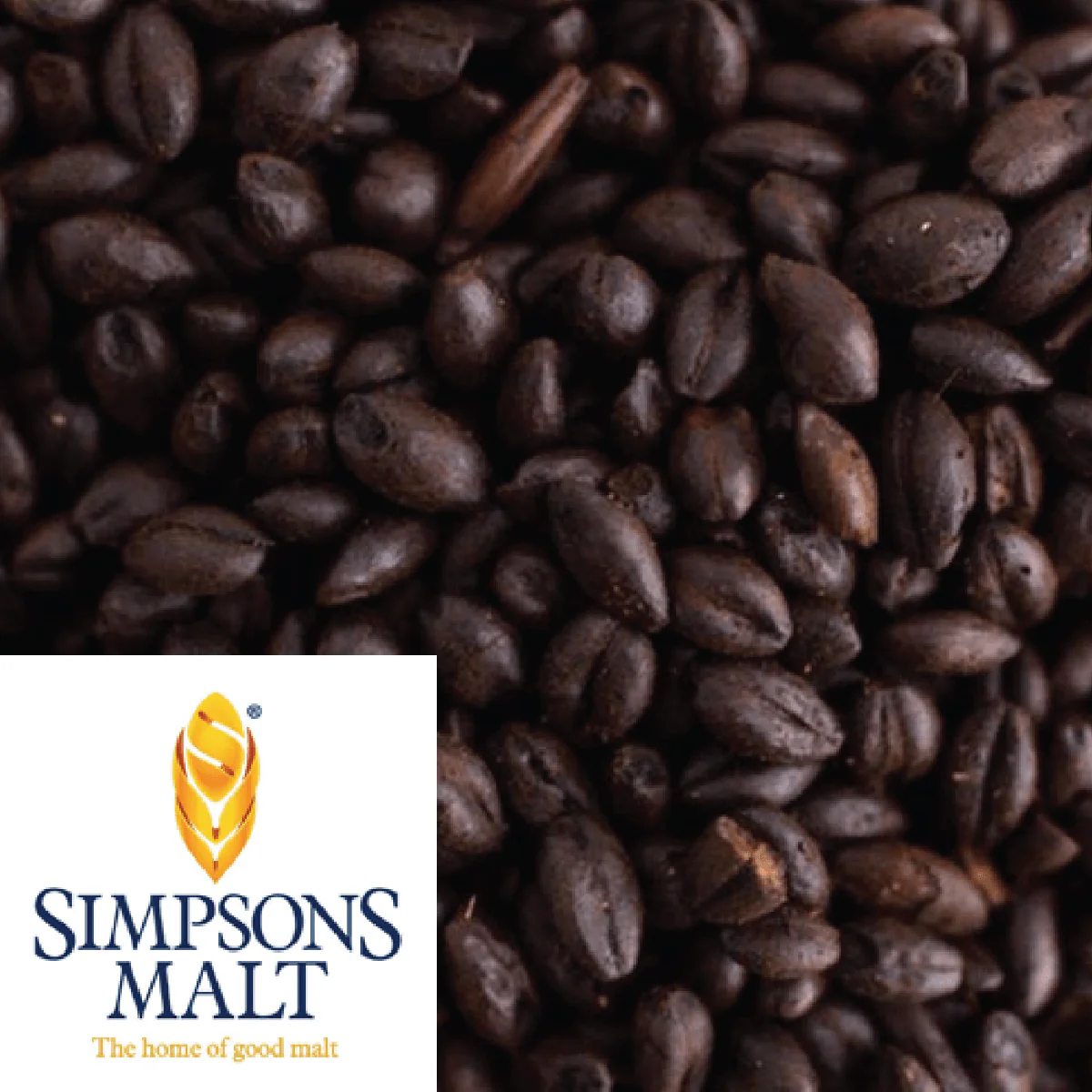 Black Malt - Simpsons (UK) - per kg