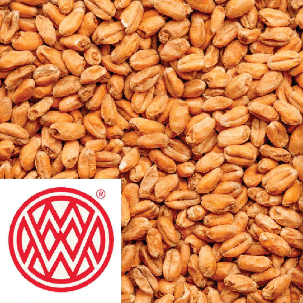 Caramel Wheat - Weyermann (GER) - per kg