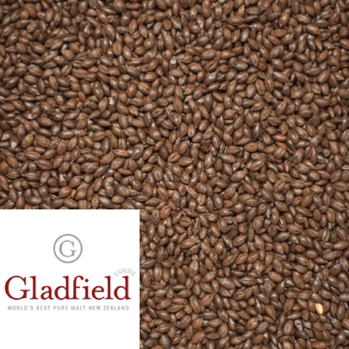 Chocolate Dark Malt - Gladfield (NZ) - per kg