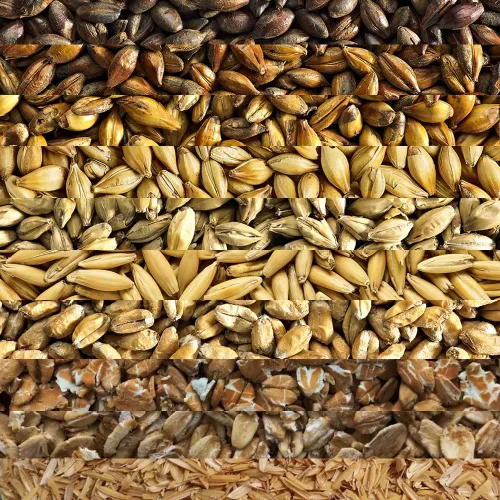 GRAIN BILL - Customer's Product with price 8.01 ID -D7ml9ahyJCjEcbqkSzK6D_u