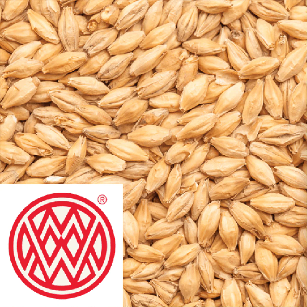 Floor Malted Bohemian Pilsner - Weyermann (GER) - per kg