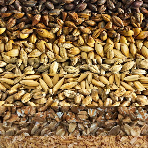GRAIN BILL - Customer's Product with price 1.05 ID QzgZ8Kh_6uzDqGoQ9scuqKrL