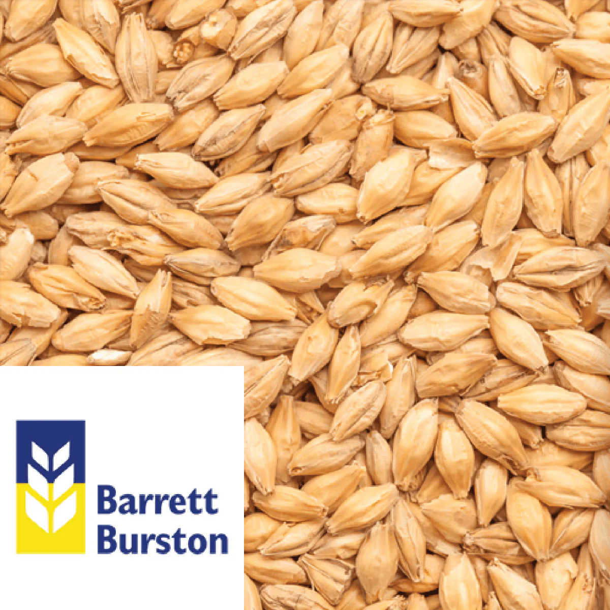 25kg SACK - Munich - Barrett Burston (AUS) - Image 2