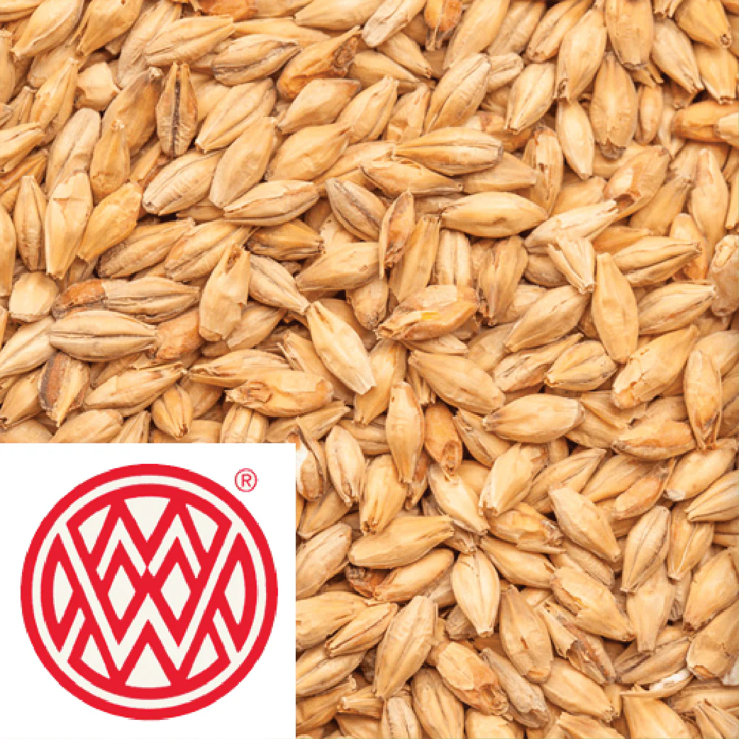 Munich T1 (Light) - Weyermann (GER) - per kg