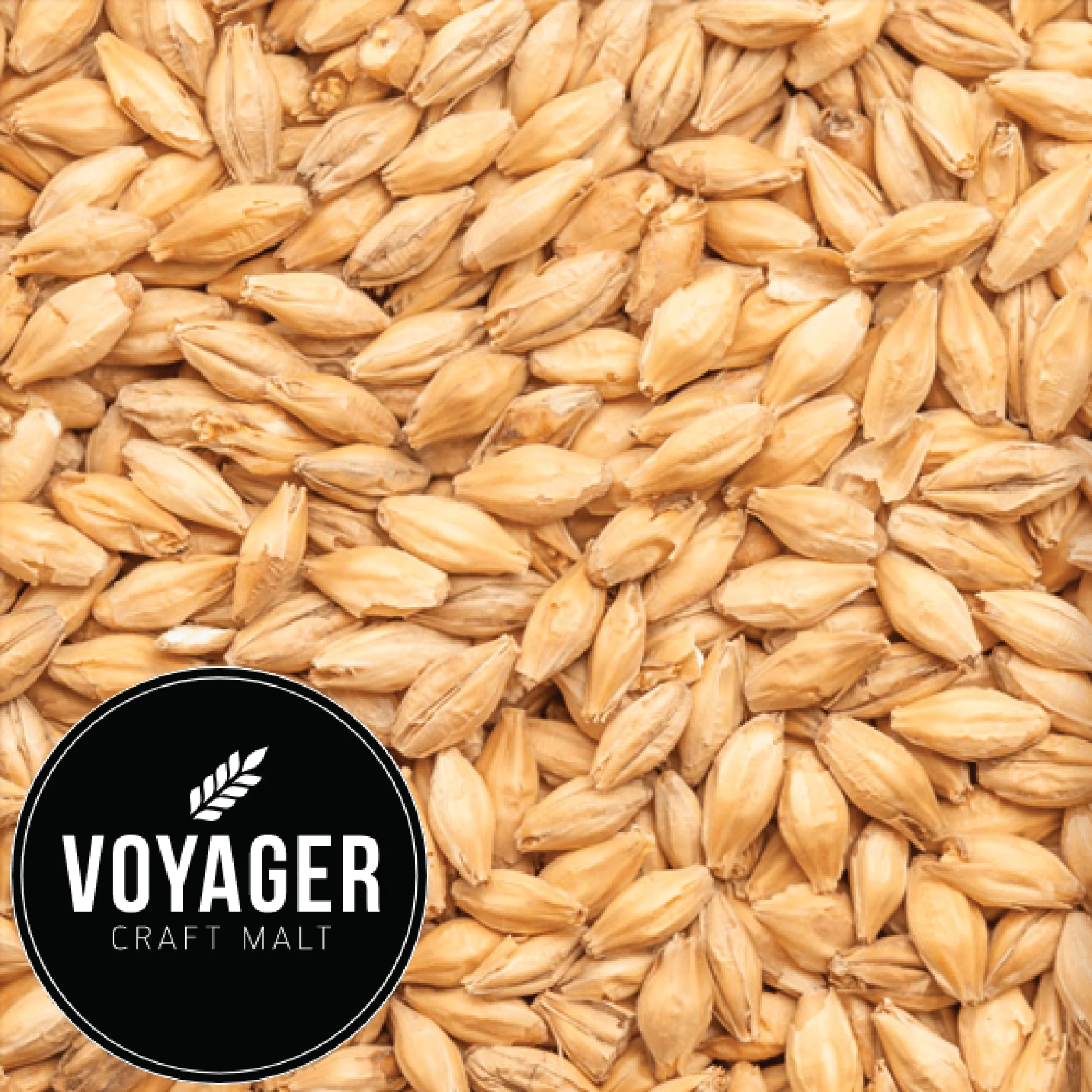Pale Ale Malt (Compass) - Voyager (AUS) - per kg