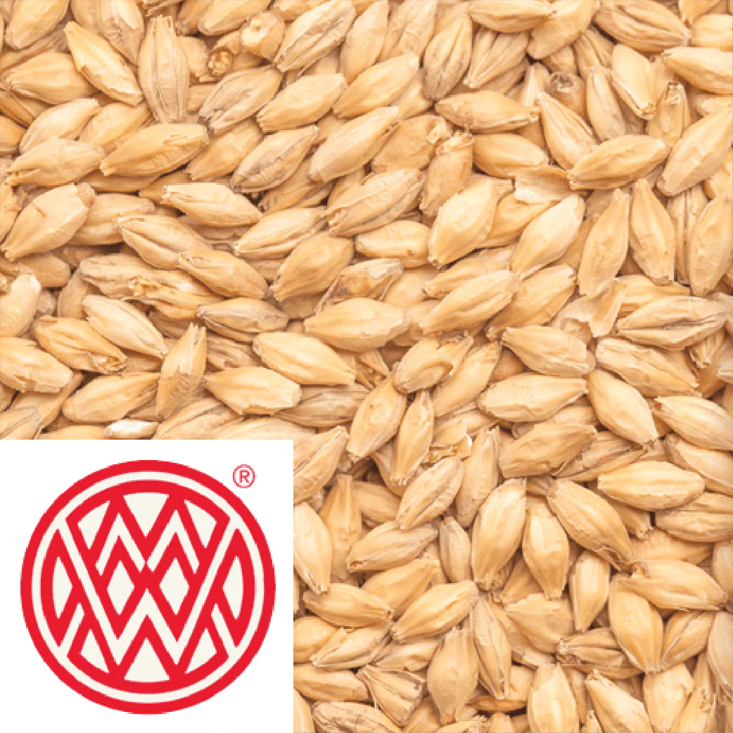 Extra Pale Premium Pilsner - Weyermann (GER) - per kg