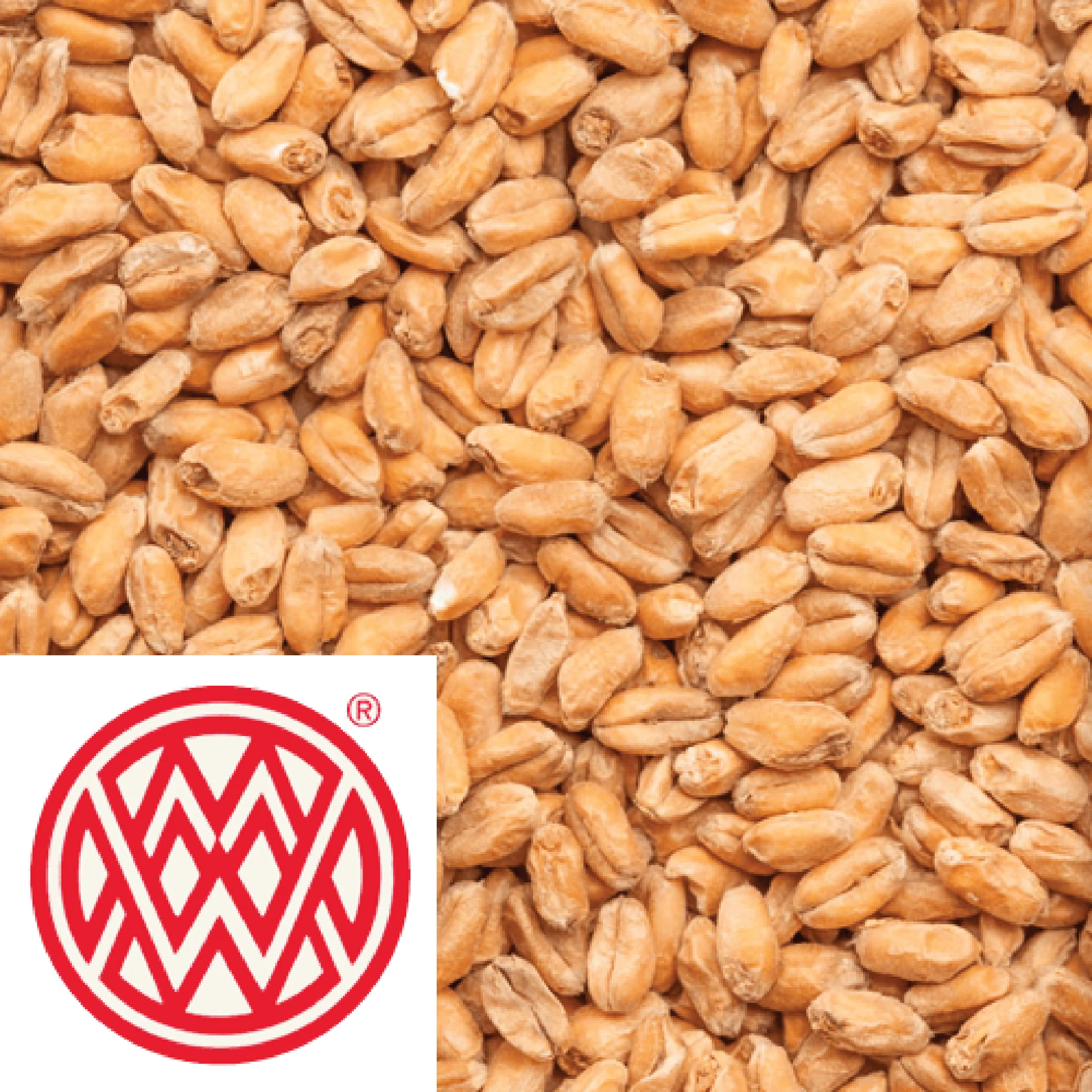 Wheat Malt - Weyermann (GER) - per kg
