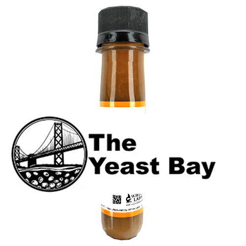 YB-WLP4641 - Amalgamation II